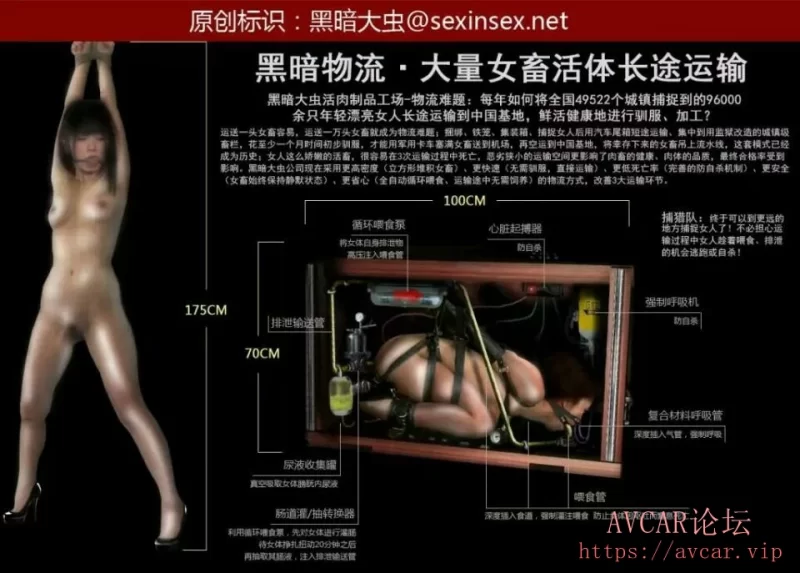 ;S袚.jpg