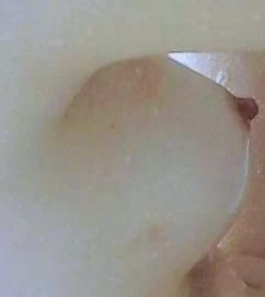 1000074299.jpg